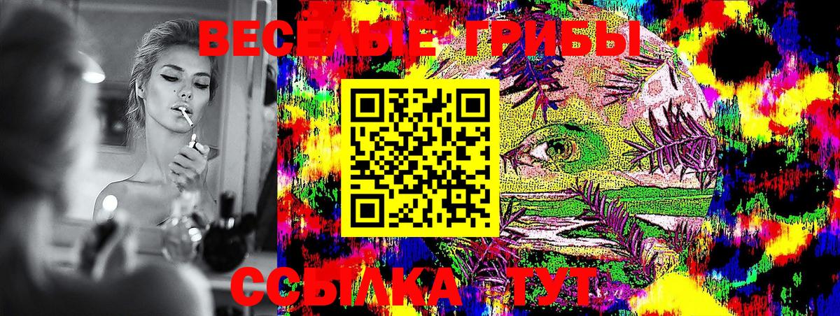 Галлюциногенные грибы ЛСД  Вход с VPN  Гудермес 